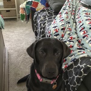 Meet your Posher, Jacob